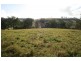Dungog NSW 2420