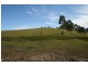 Lot 272, . Eloiza Street, Dungog NSW 2420