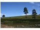 Lot 272, . Eloiza Street, Dungog NSW 2420