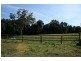 Dungog NSW 2420