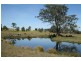 Dungog NSW 2420