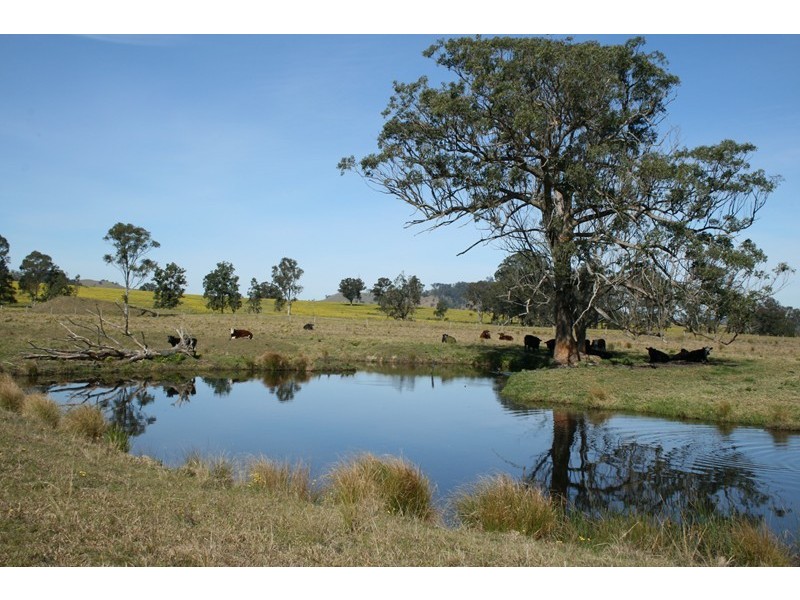Dungog NSW 2420