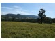 Dungog NSW 2420