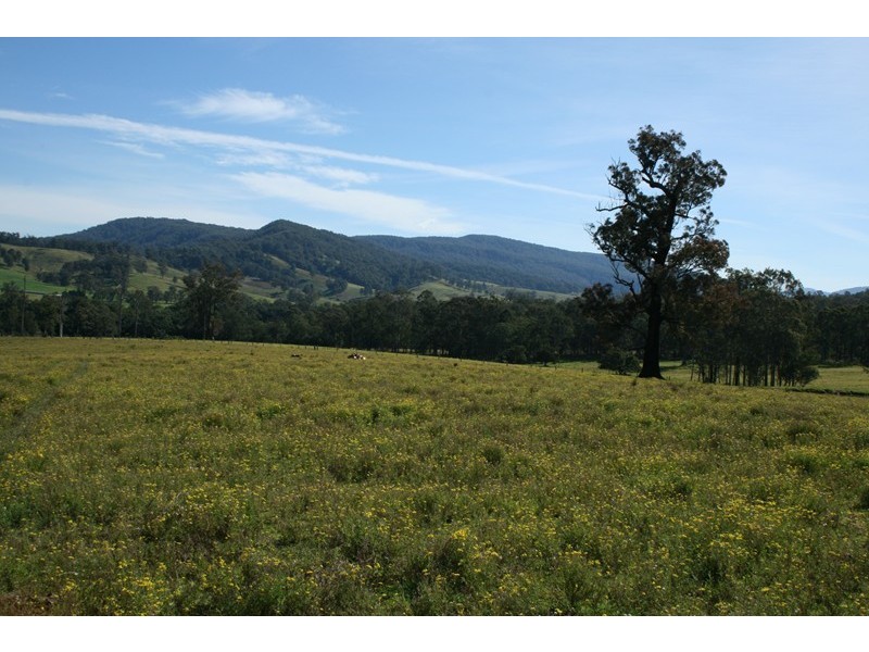 Dungog NSW 2420