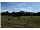 Dungog NSW 2420