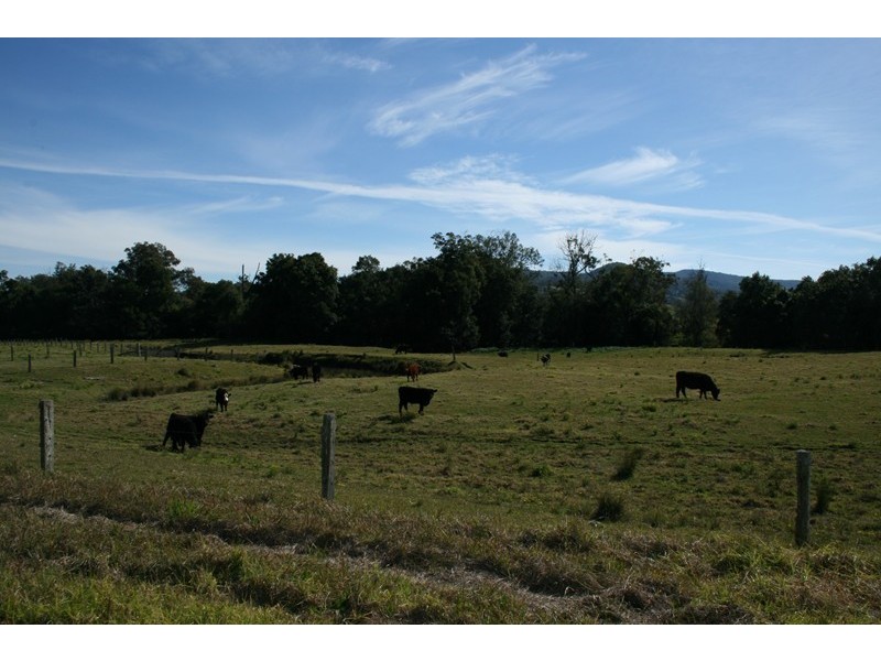Dungog NSW 2420