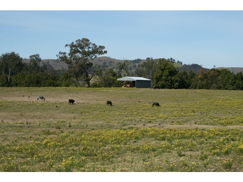 Dungog NSW 2420