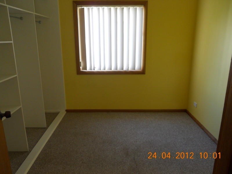 Dungog NSW 2420