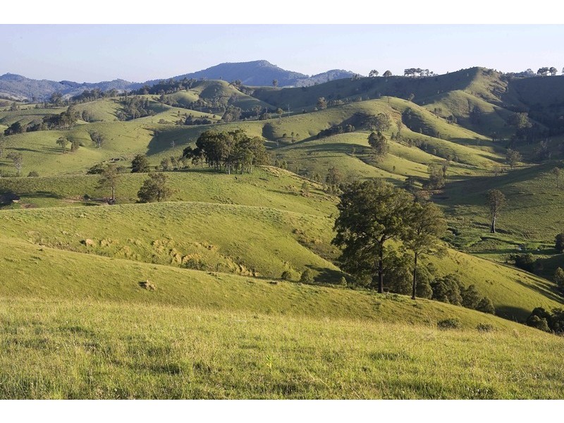 Dungog NSW 2420