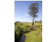 Dungog NSW 2420