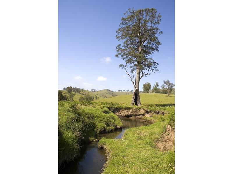 Dungog NSW 2420