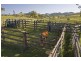 Dungog NSW 2420
