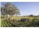 Dungog NSW 2420