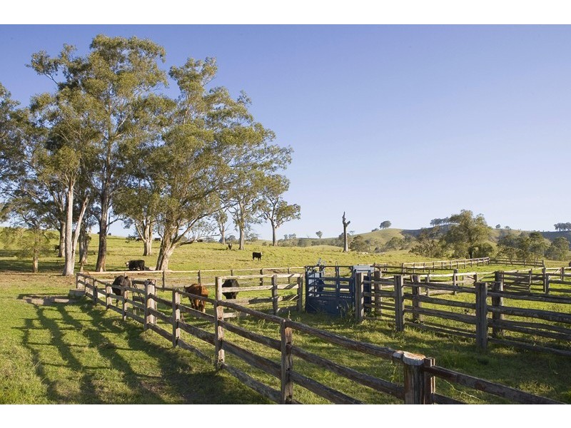 Dungog NSW 2420