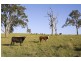Dungog NSW 2420