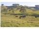 Dungog NSW 2420