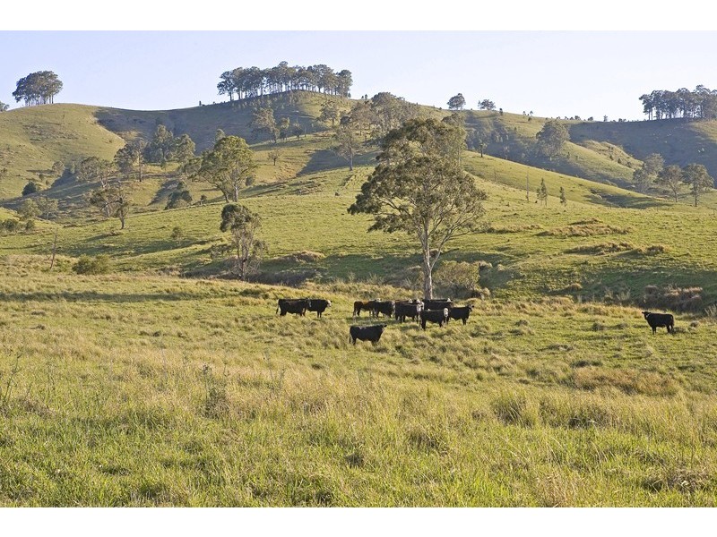 Dungog NSW 2420