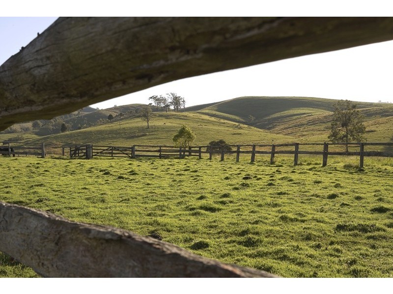 Dungog NSW 2420