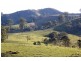 Dungog NSW 2420