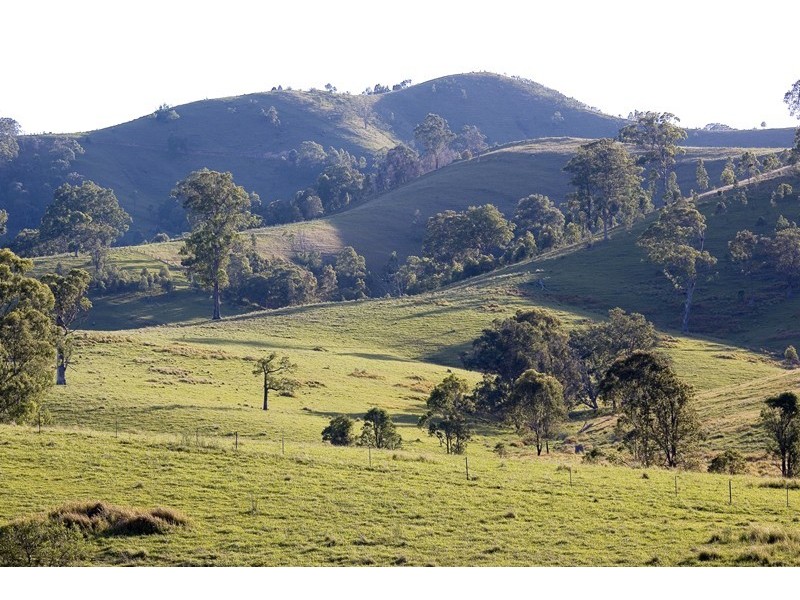 Dungog NSW 2420