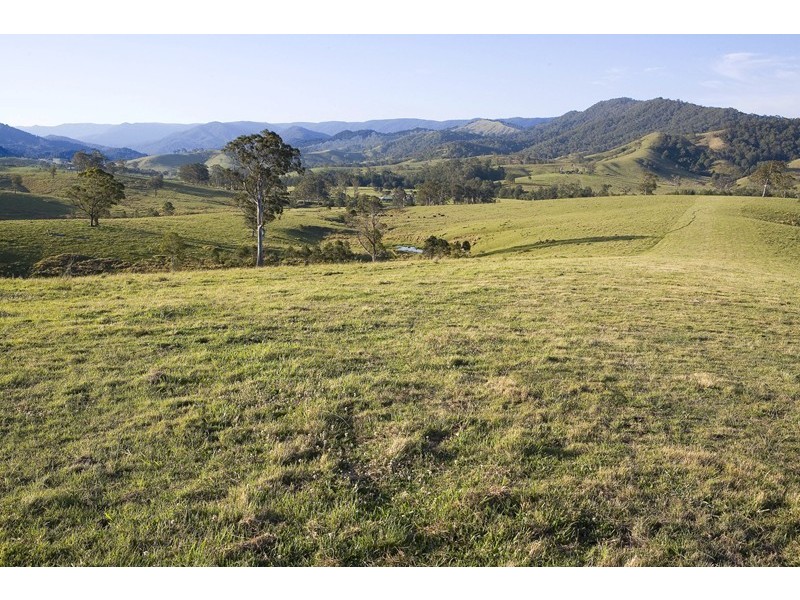 Dungog NSW 2420