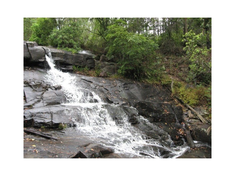 Dungog NSW 2420