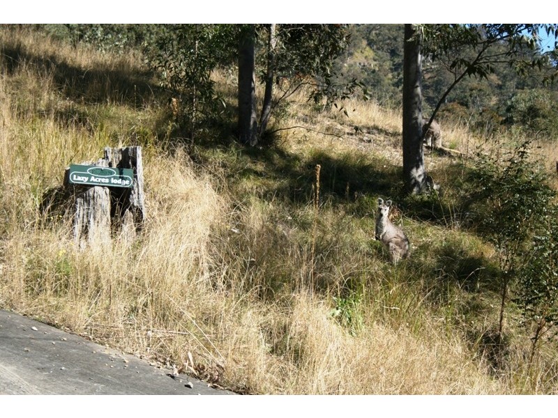 297 Moonabung Road, Vacy NSW 2421