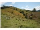 Lot 3 Salisbury Road, Dungog NSW 2420