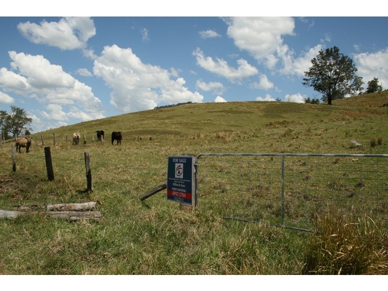 Lot 3 Salisbury Road, Dungog NSW 2420