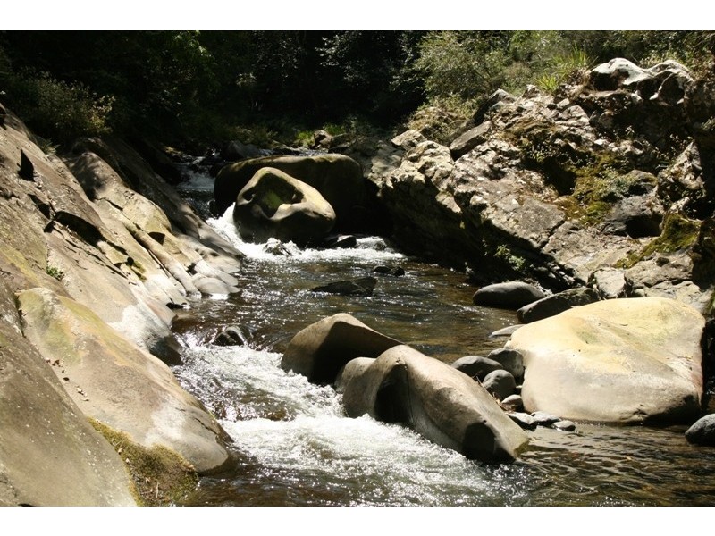 Lot 4 Salisbury Road, Dungog NSW 2420