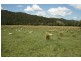 Lot 4 Salisbury Road, Dungog NSW 2420