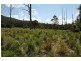 Lot 4 Salisbury Road, Dungog NSW 2420