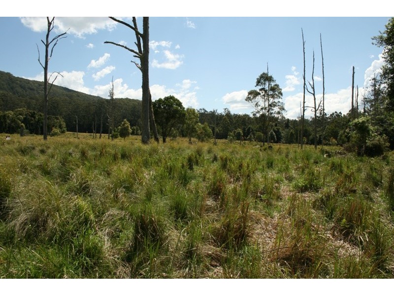Lot 4 Salisbury Road, Dungog NSW 2420