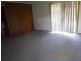 Dungog NSW 2420
