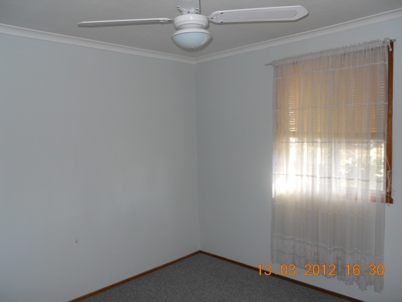 Dungog NSW 2420