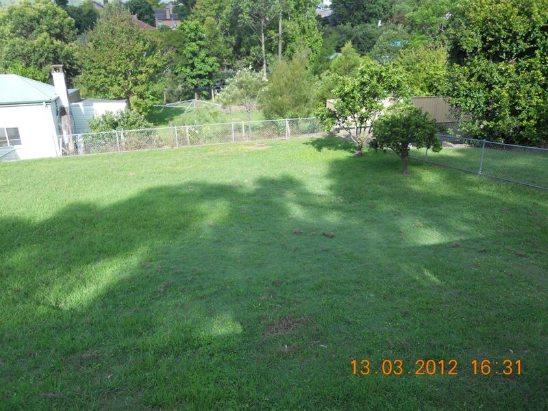 Dungog NSW 2420