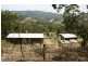 Dungog NSW 2420