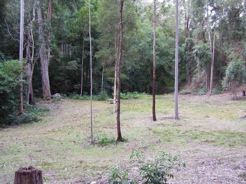 Dungog NSW 2420