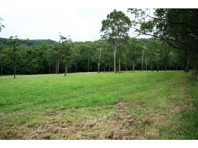 Dungog NSW 2420