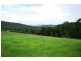 Dungog NSW 2420