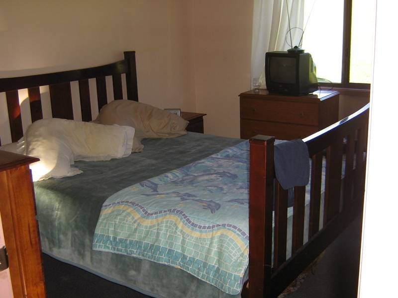 Dungog NSW 2420