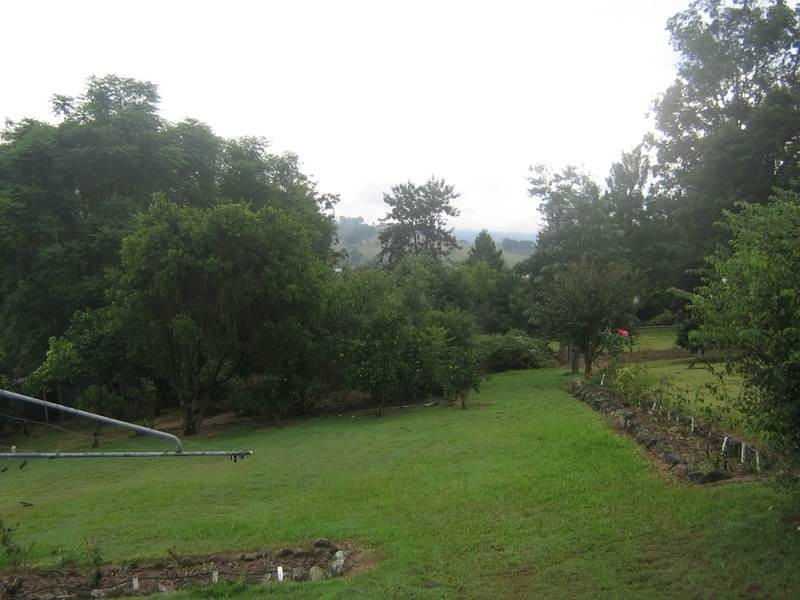 Dungog NSW 2420