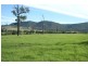 591 Fishers Hill Road, Vacy NSW 2421