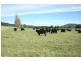 591 Fishers Hill Road, Vacy NSW 2421