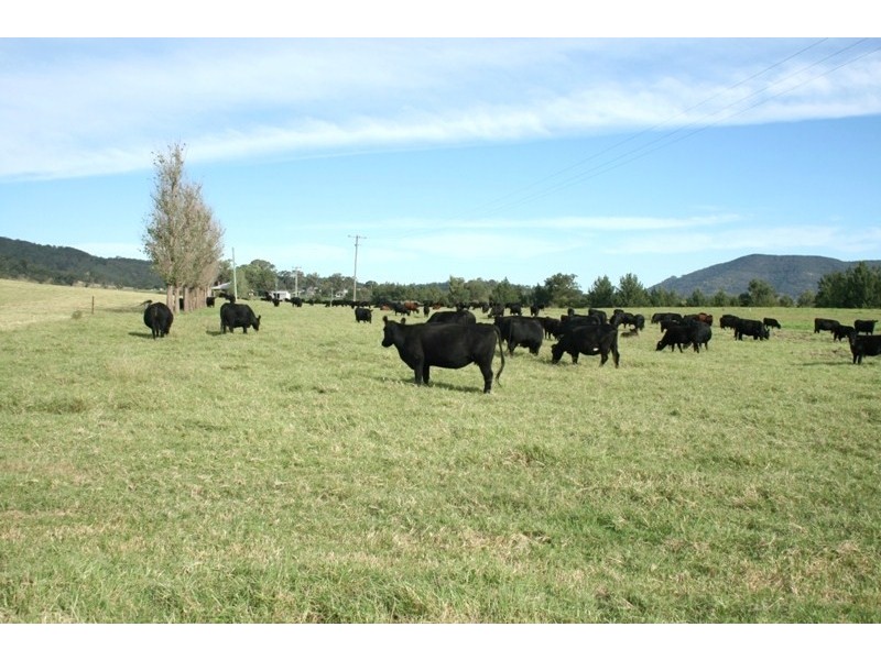 591 Fishers Hill Road, Vacy NSW 2421