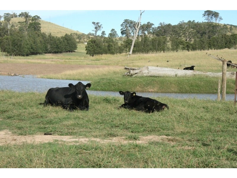 591 Fishers Hill Road, Vacy NSW 2421