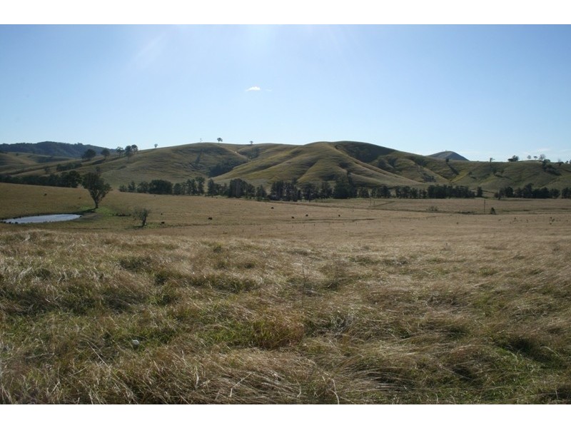 Dungog NSW 2420