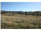 Dungog NSW 2420