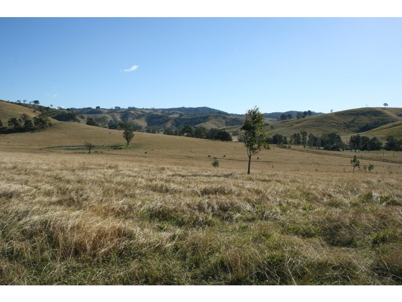 Dungog NSW 2420