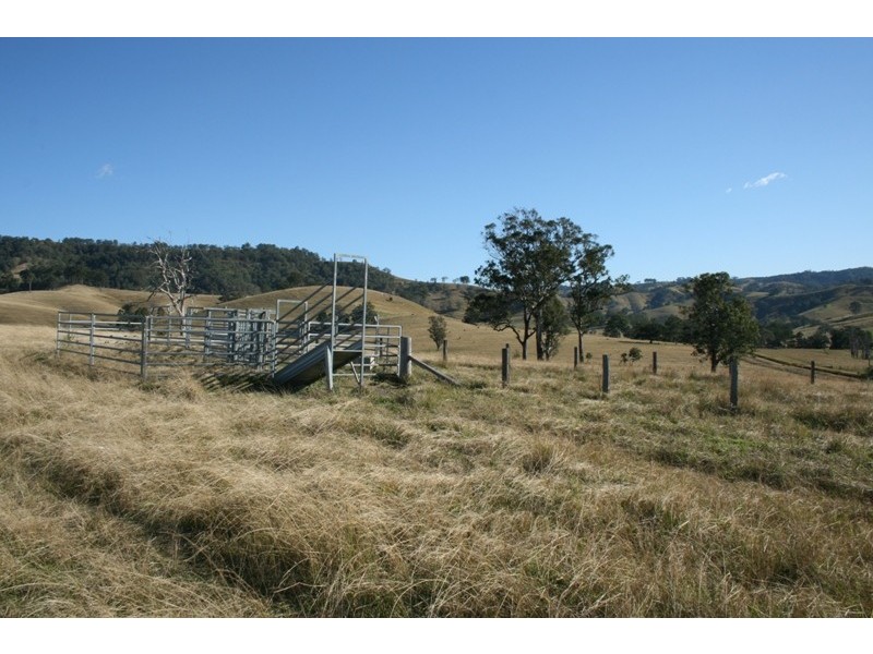 Dungog NSW 2420